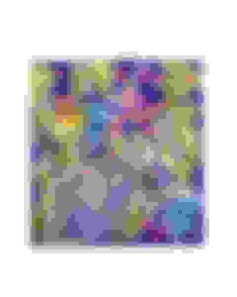 v2-prize-animal-world-scarf-female-image