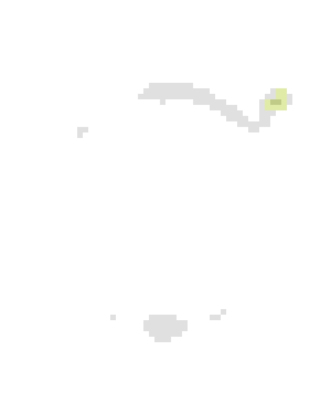 v2-prize-signature-necklace-with-swarovski-crystals-female-image