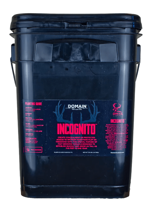 DOMAIN INCFP325 INCOGNITO