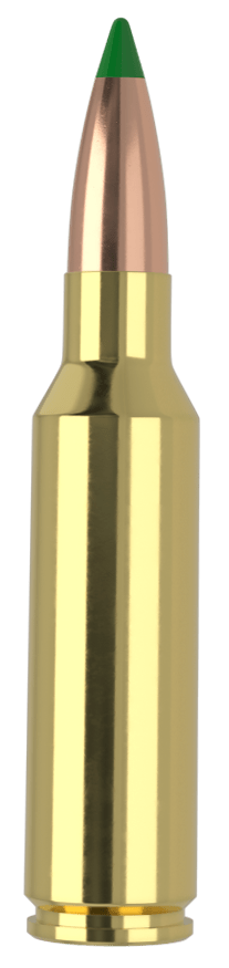 Nosler 61035 300WSM 165gr Ballistic Tip 20 Per Box/10 Case