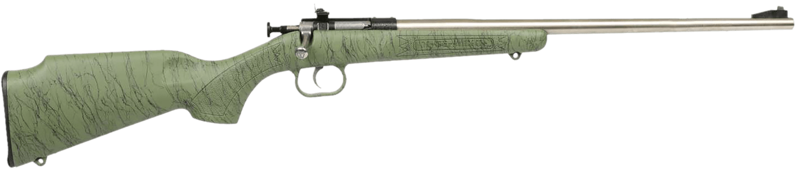 Crickett KSA2442 Gen2 Youth 22 LR 1rd 16.13" Stainless Single Shot Barrel, Stainless Steel Receiver, Green w/Black Webbing Fixed Synthetic Stock