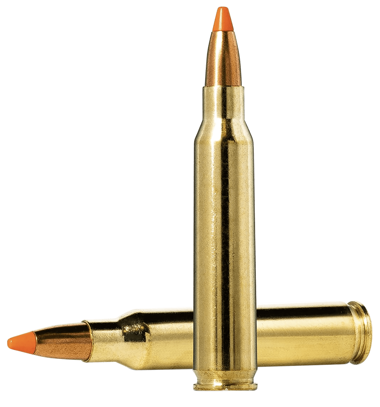 Norma Ammunition 20157352 Dedicated Hunting Varmint 223Rem 55gr Polymer Tip 20 Per Box/10 Case