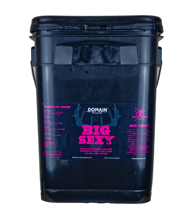 DOMAIN BSFP34 BIG SEXY