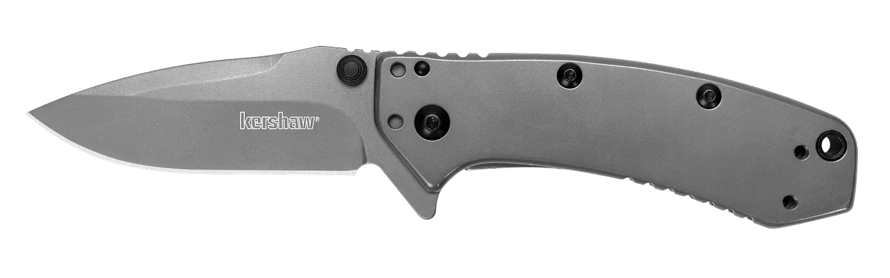 Kershaw 1555TI Cryo  2.75" Folding Drop Point Plain Gray TiN 8Cr13MoV SS Blade Gray PVD Stainless Steel Handle Includes Pocket Clip