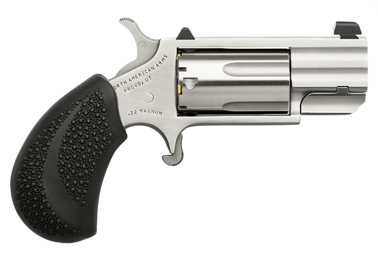 North American Arms PUGD Pug  22 WMR 5 Shot 1" Stainless Steel Barrel, Frame & Cylinder, Black Pebbled Rubber Grip, Exposed Hammer