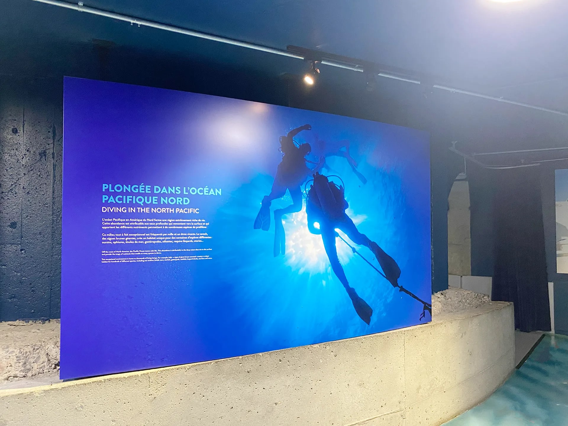 5 Affichage mural — affichage-mural-aquarium-plongee_dgs9n9