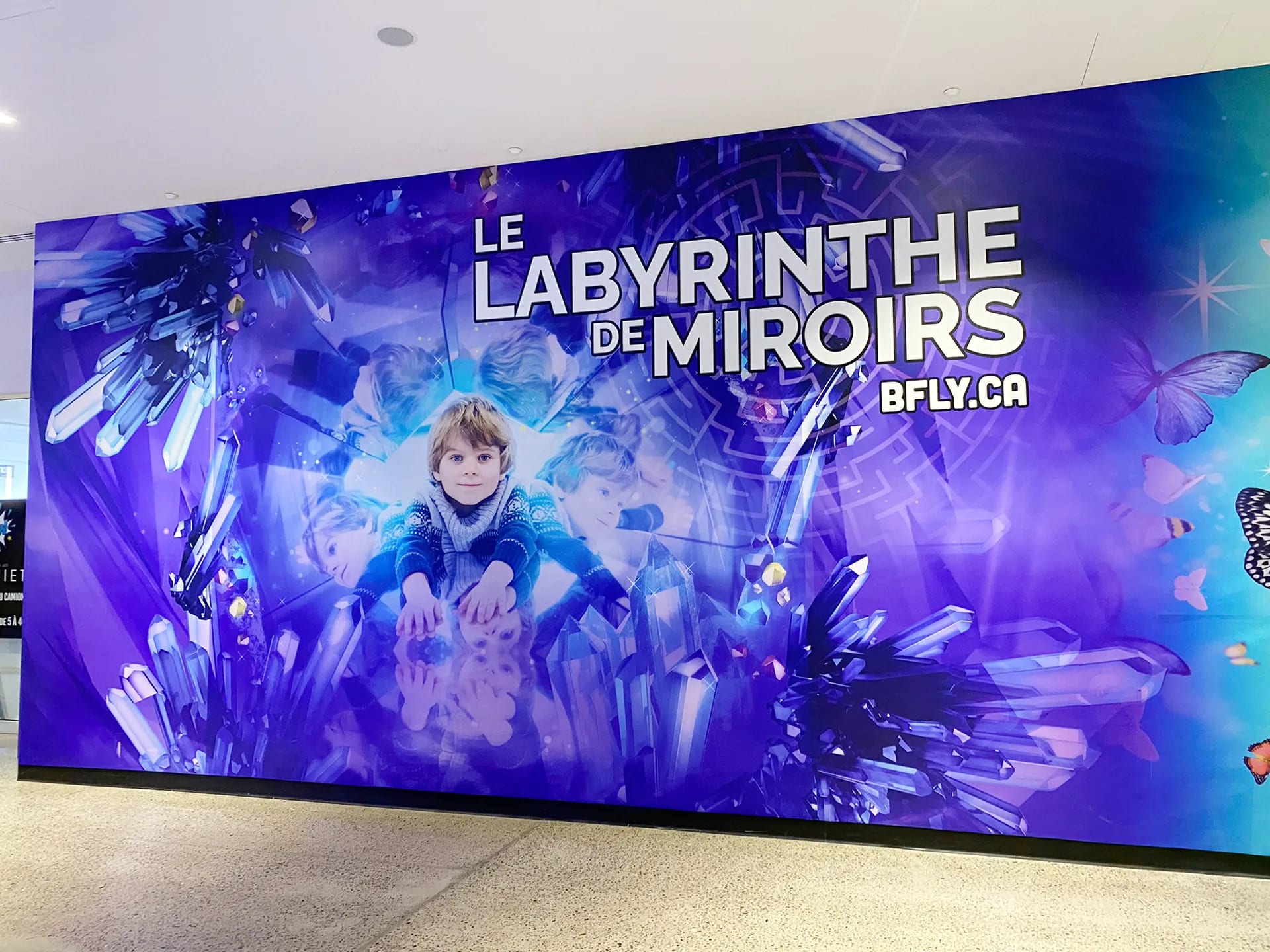 5 Affichage mural — affichage-mural-bfly-labyrinthe-des-miroirs_hvlo10