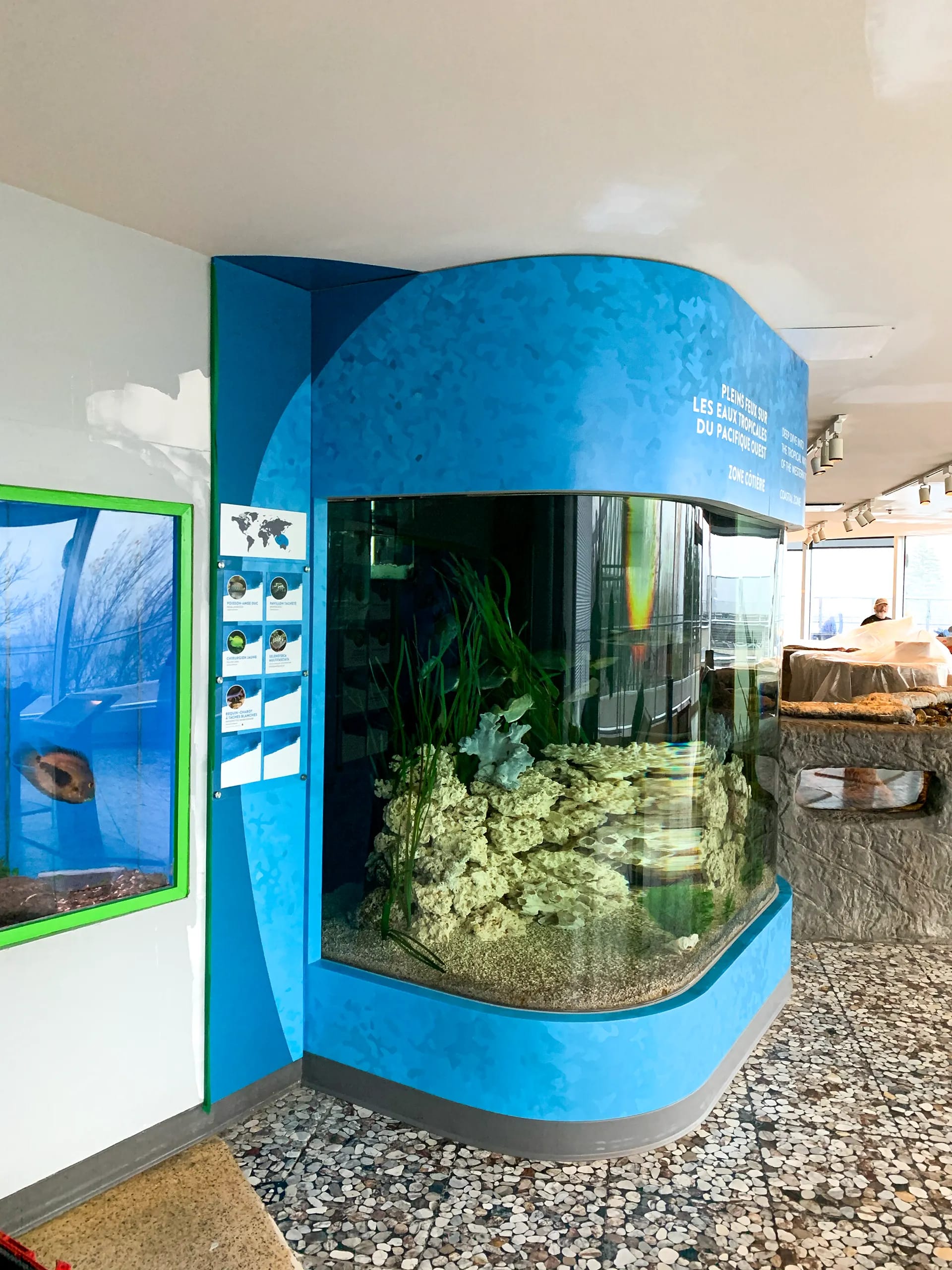 4 Affichage vitrine — affichage-vitrine-aquarium_rkyjsq