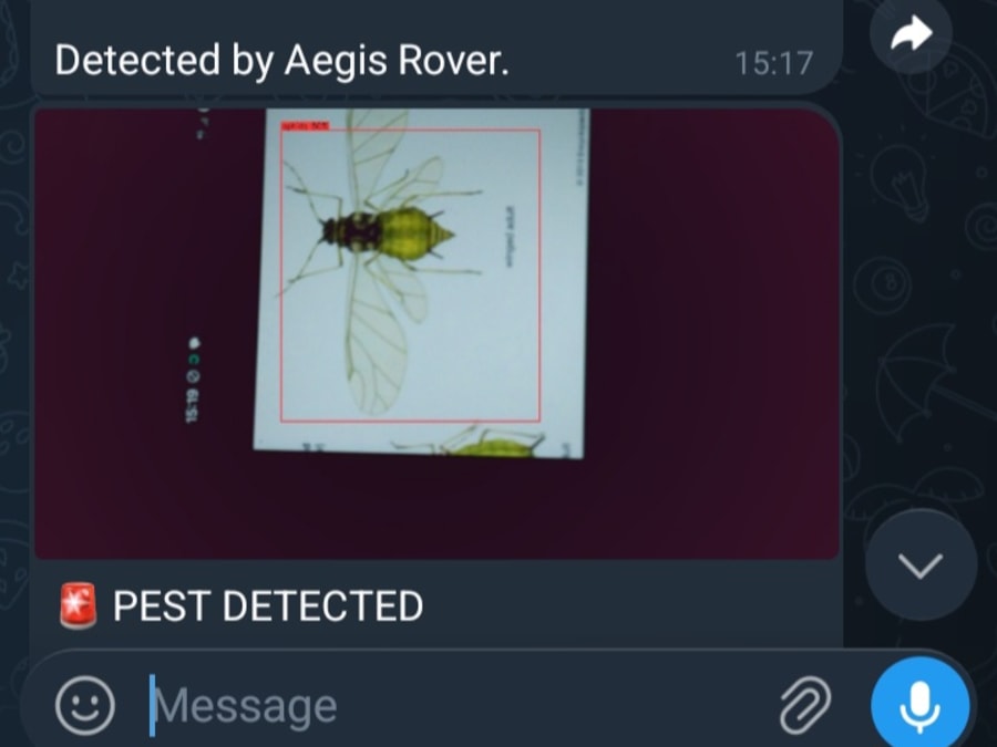 Detection Alerts