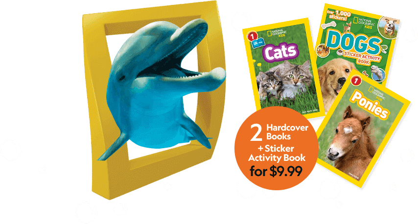 2 Hardcover Books + Sticker Activity Book for $9.99!