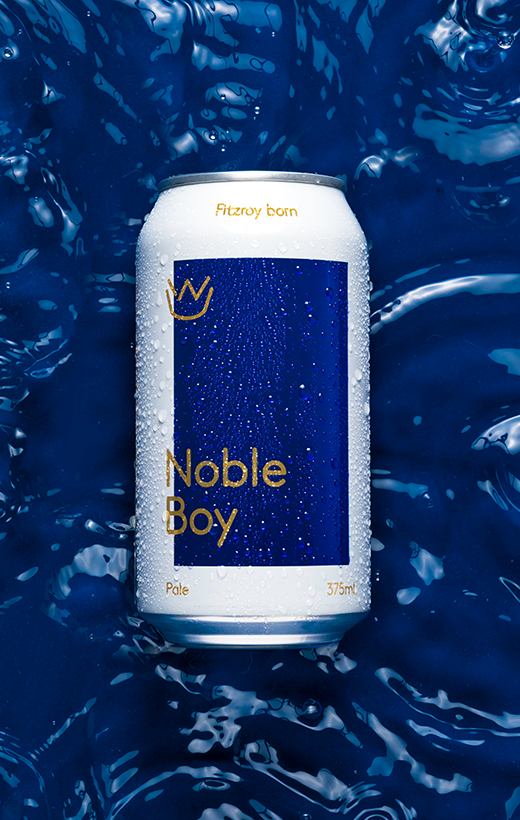 sdwm-homepage-nobleboy_hddskm