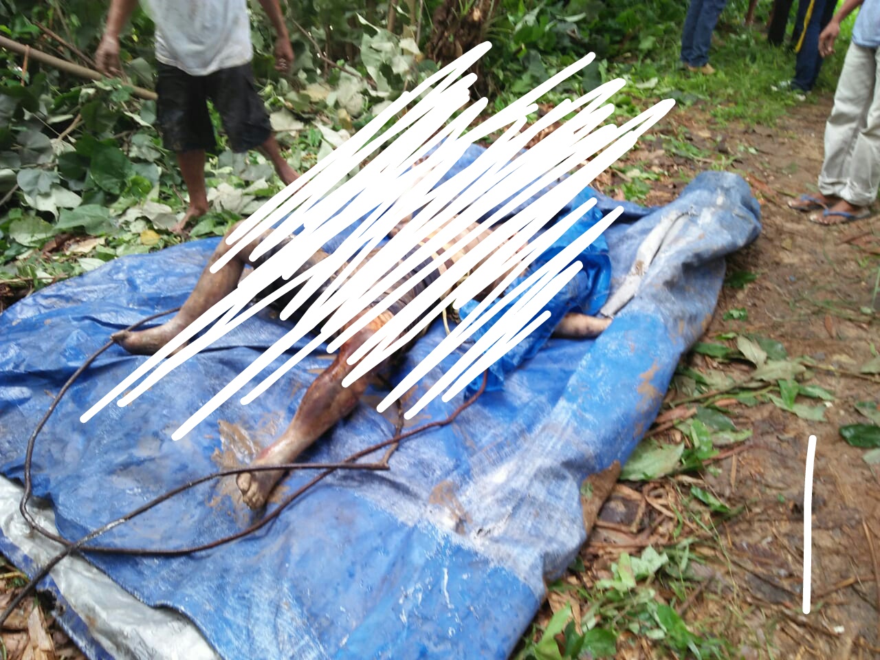  Anak  Mancing Temukan Mayat Perempuan RAKYAT LAMSEL