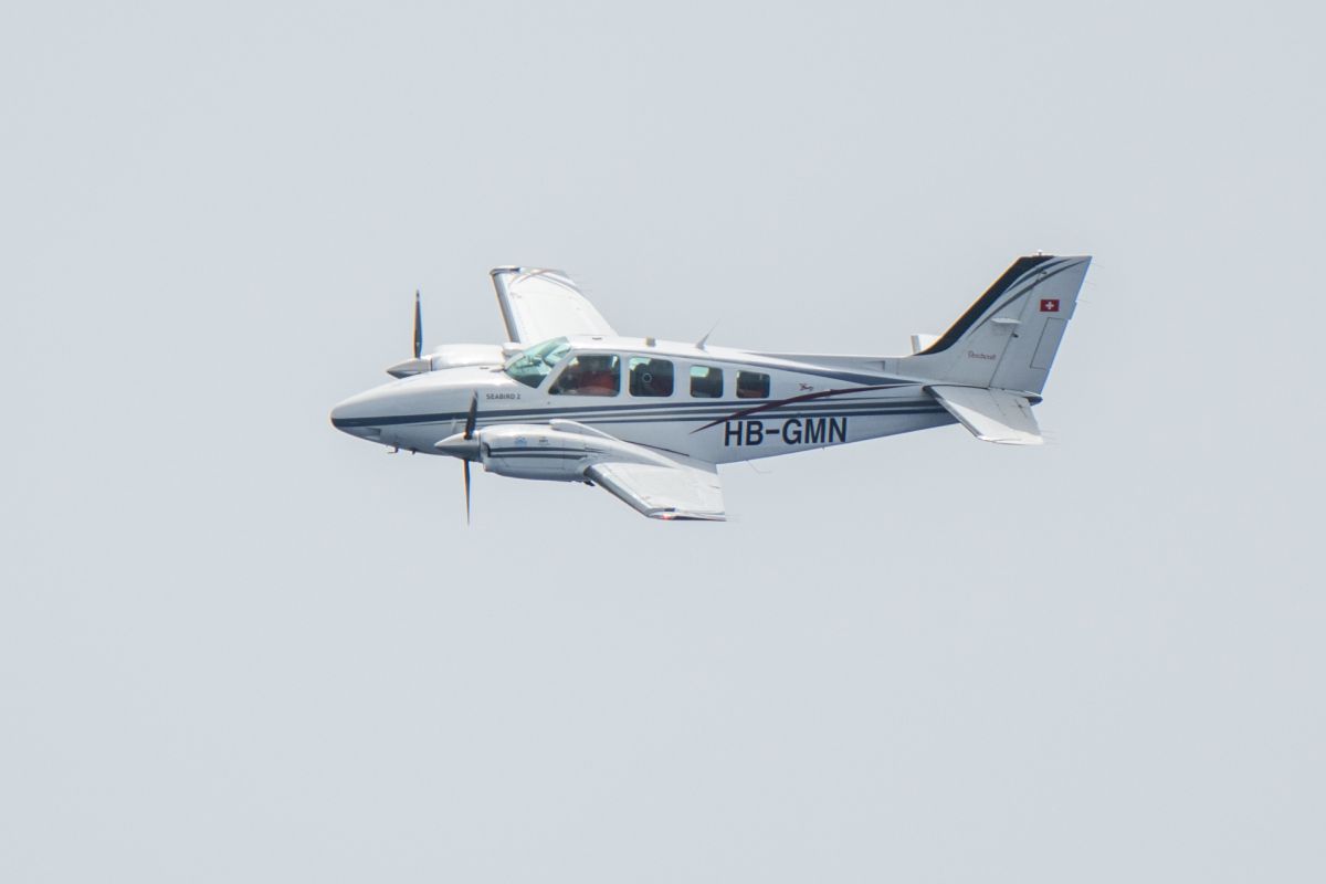 Seabird 2.jpg