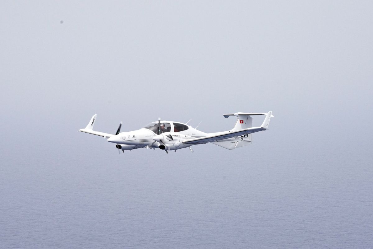 Seabird 3.jpg