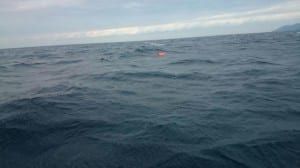 #SafePassageNow #NoMoreDeathsAtSea