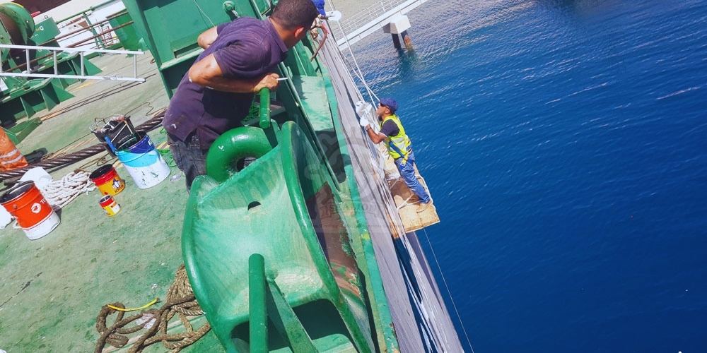 Sealion Trading & Marine Services