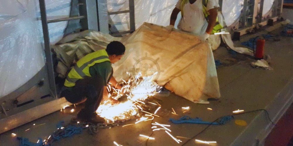 Sealion Trading & Marine Services