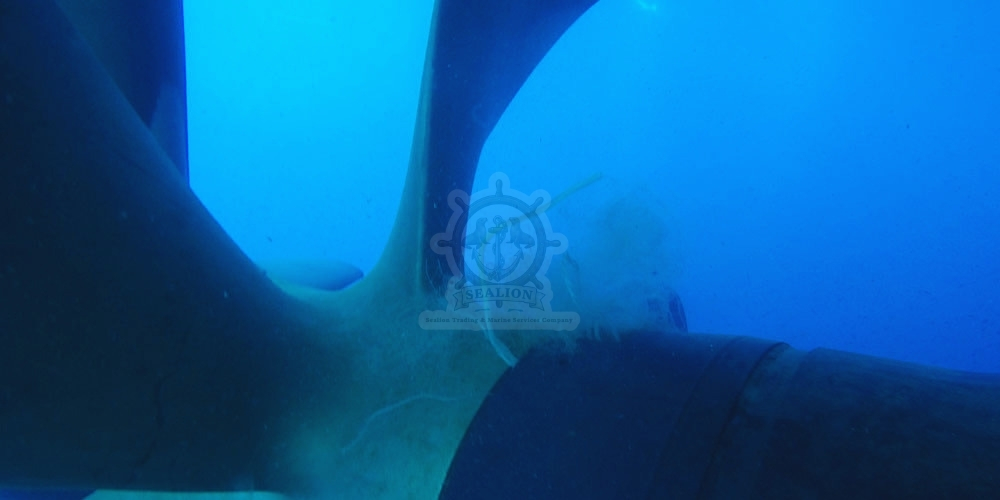 Sealion Trading & Marine Services