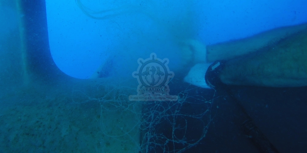 Sealion Trading & Marine Services