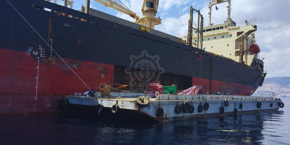 Sealion Trading & Marine Services