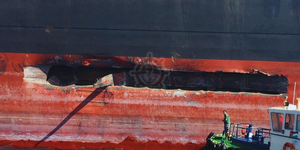 Sealion Trading & Marine Services