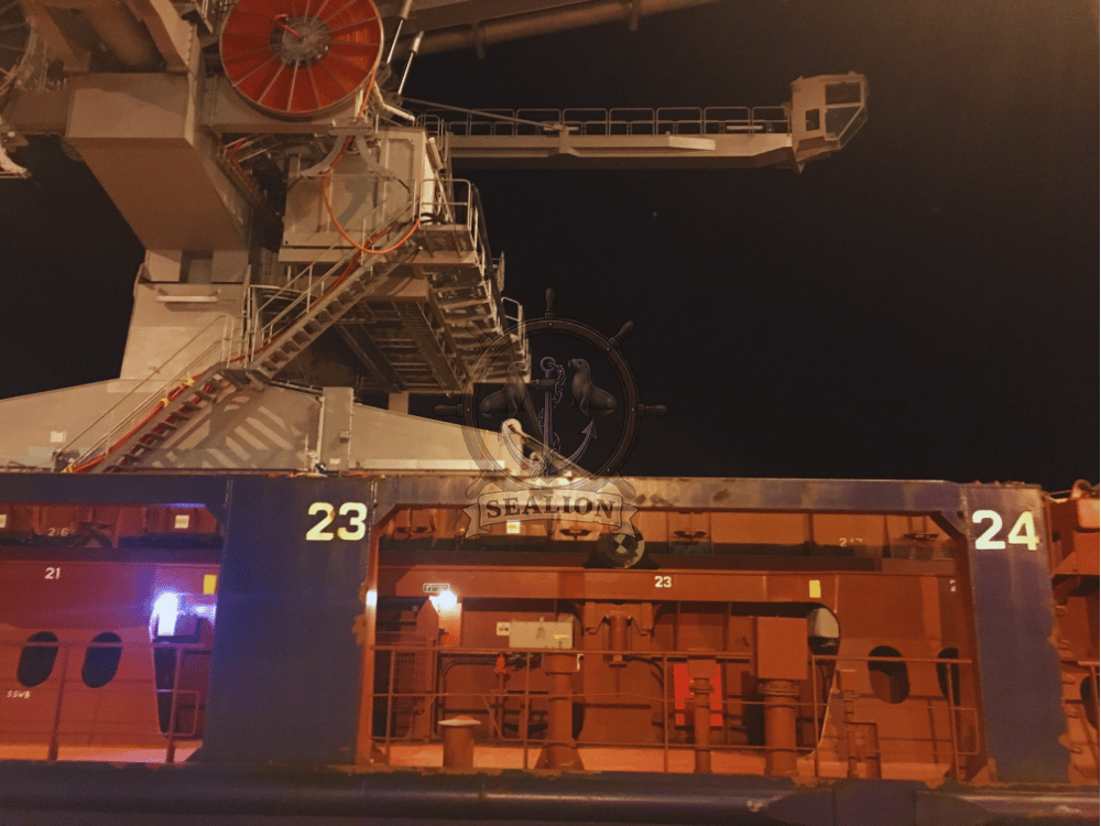Sealion Trading & Marine Services