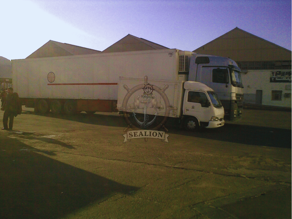Sealion Trading & Marine Services