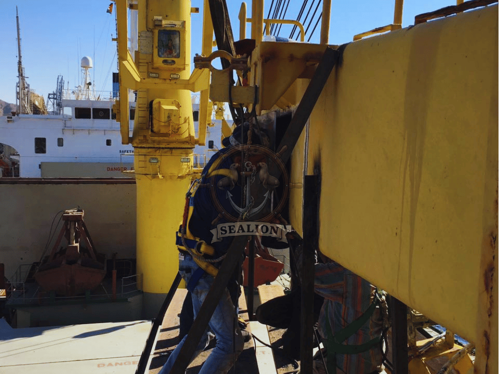 Sealion Trading & Marine Services