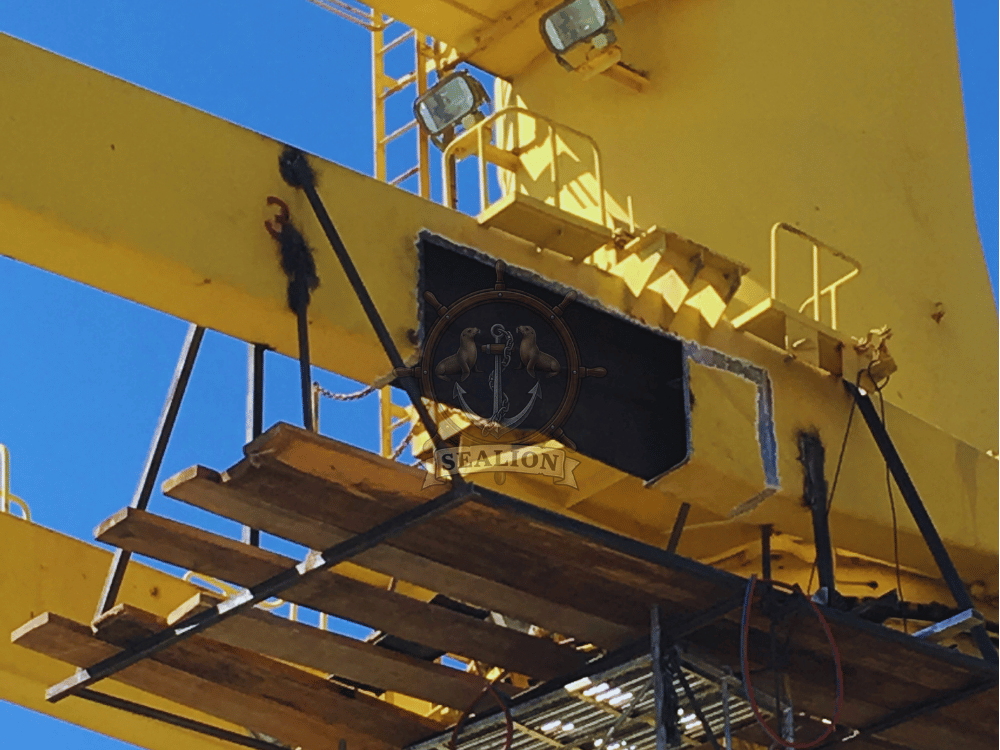 Sealion Trading & Marine Services