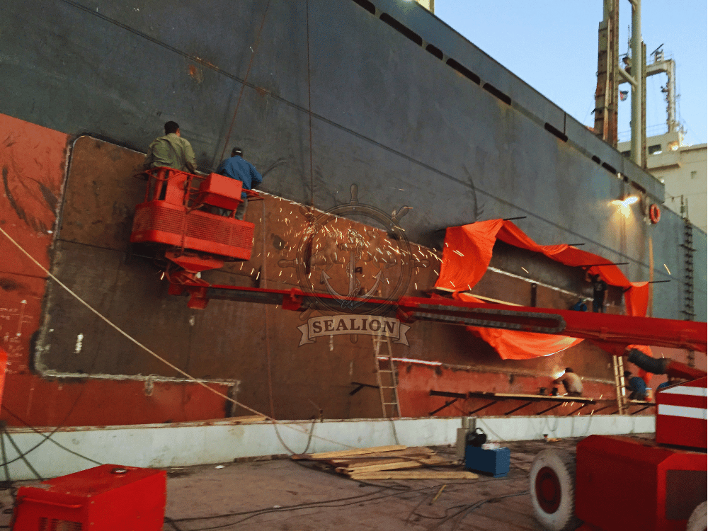 Sealion Trading & Marine Services