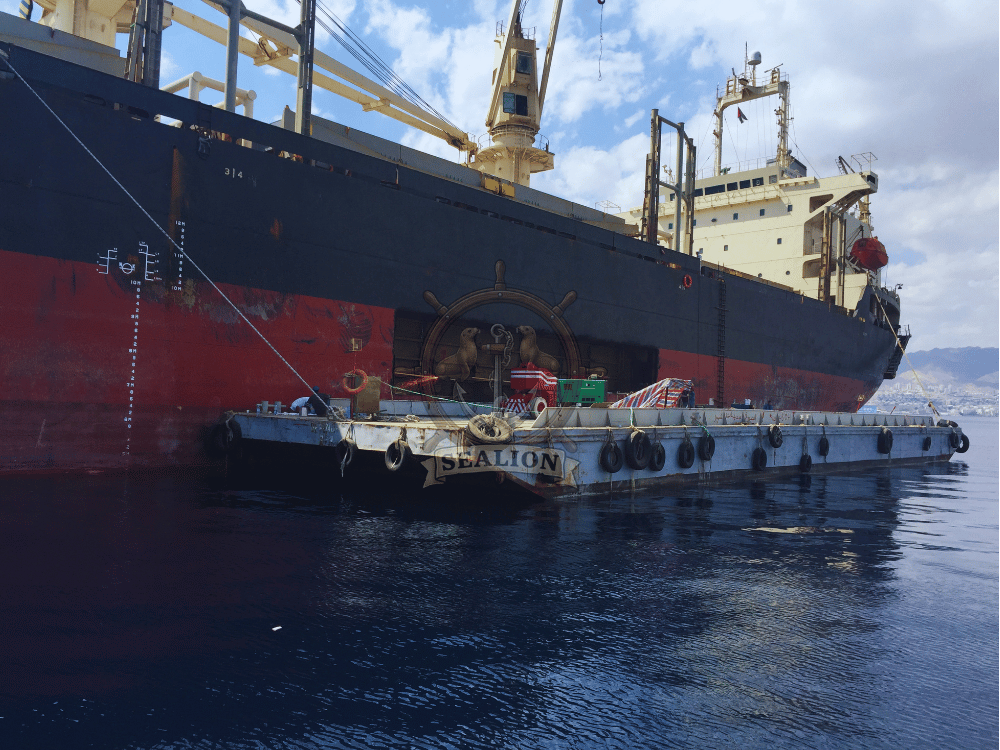 Sealion Trading & Marine Services