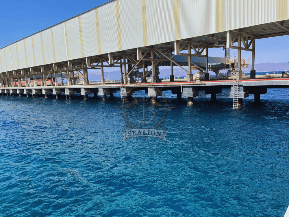 Sealion Trading & Marine Services
