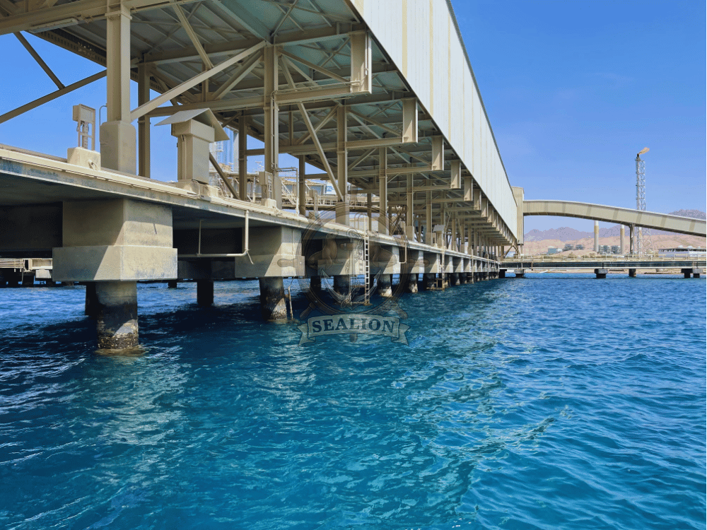Sealion Trading & Marine Services
