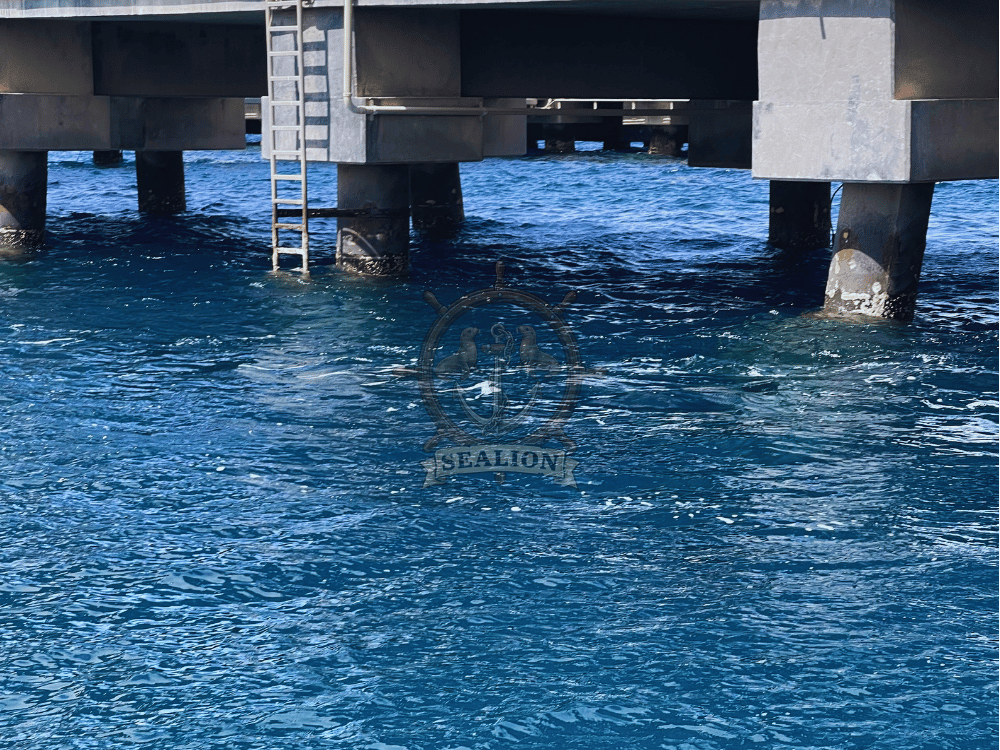 Sealion Trading & Marine Services