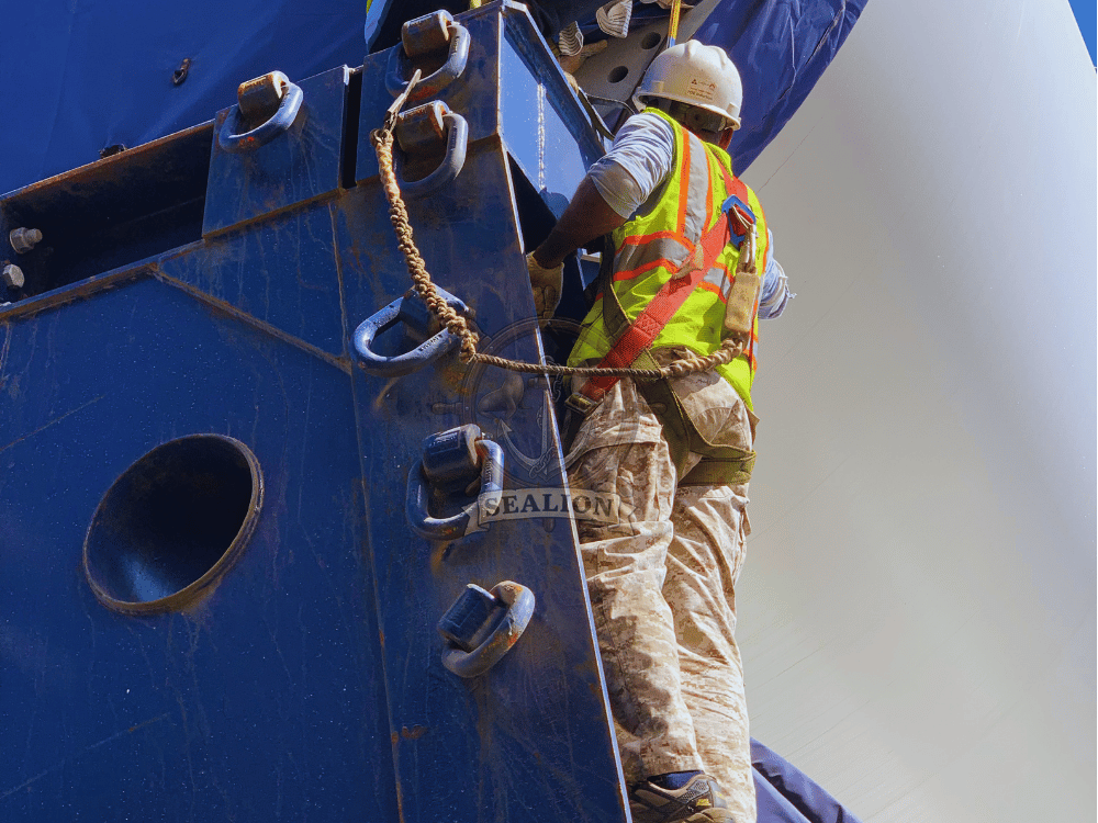 Sealion Trading & Marine Services