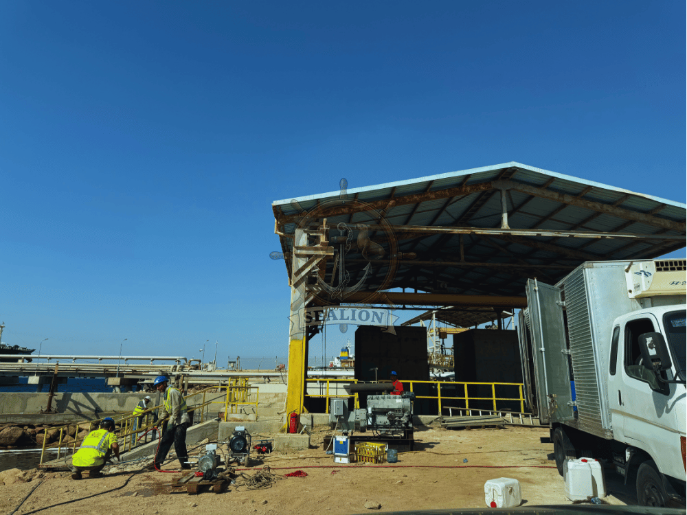 Sealion Trading & Marine Services