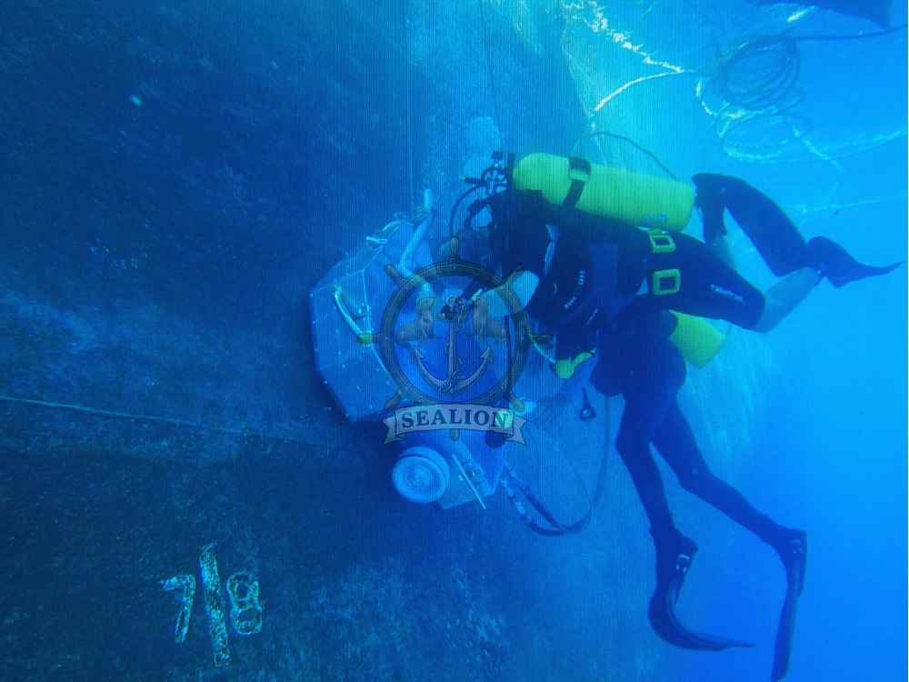 Sealion Trading & Marine Services