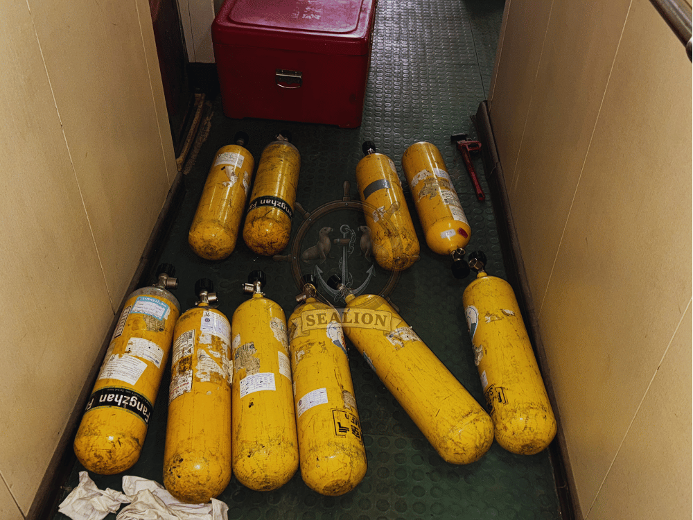 Sealion Trading & Marine Services