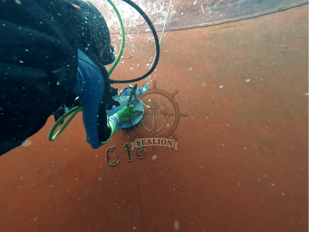 Sealion Trading & Marine Services