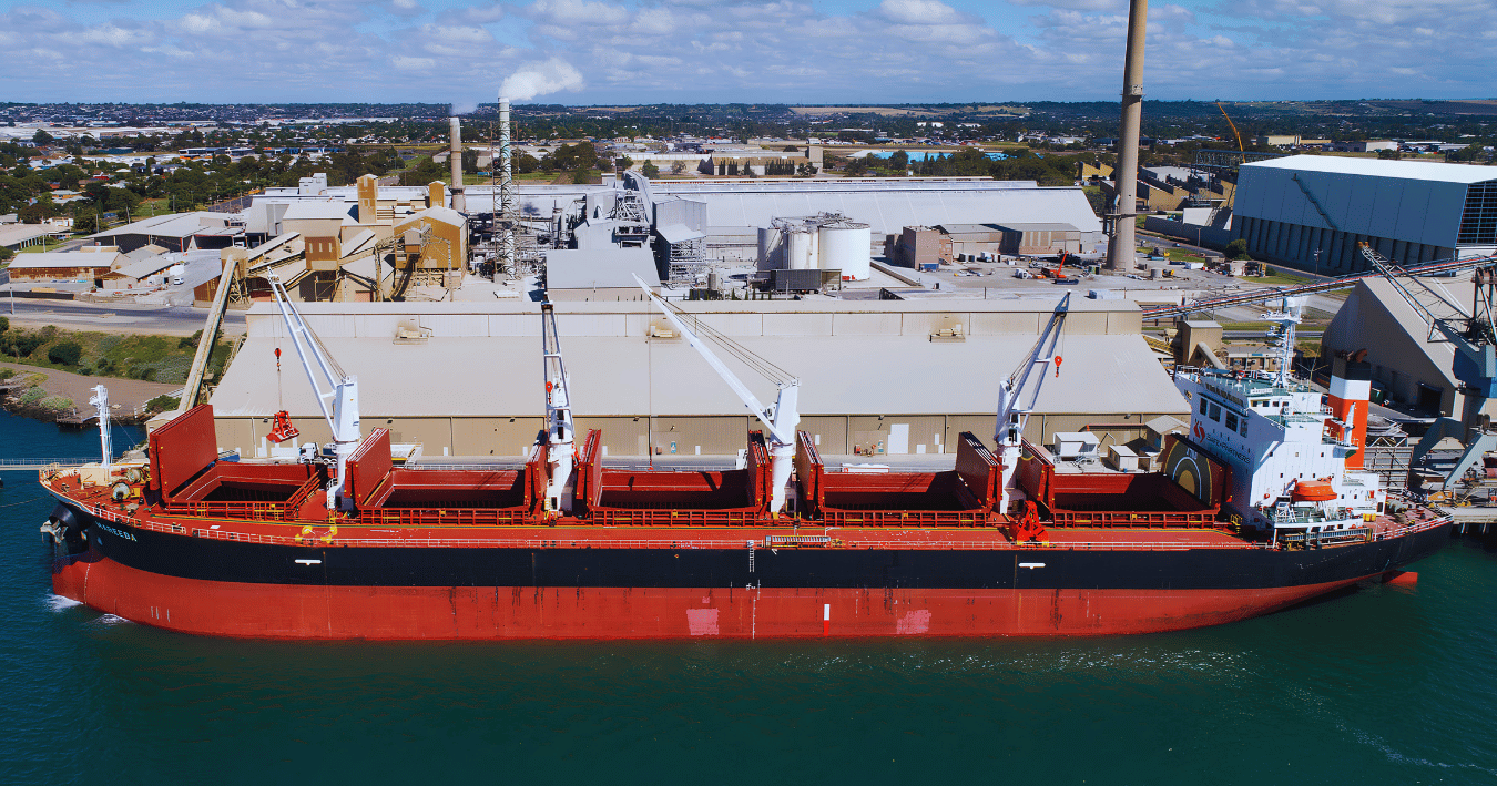 SOLAS & IMO Compliance in Port: How Sealion Keeps Your Vessel Ready for Inspection