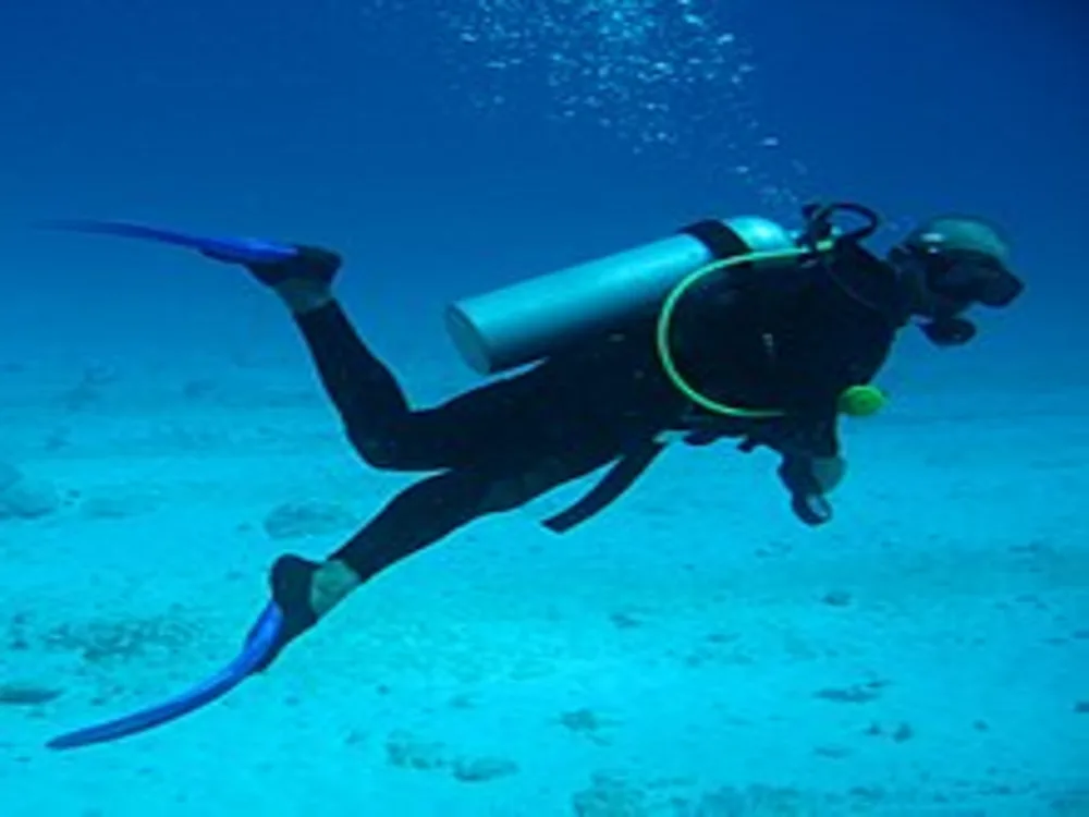 Diving Rentals