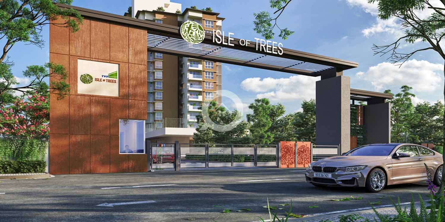 TVS Emerald Isle of trees