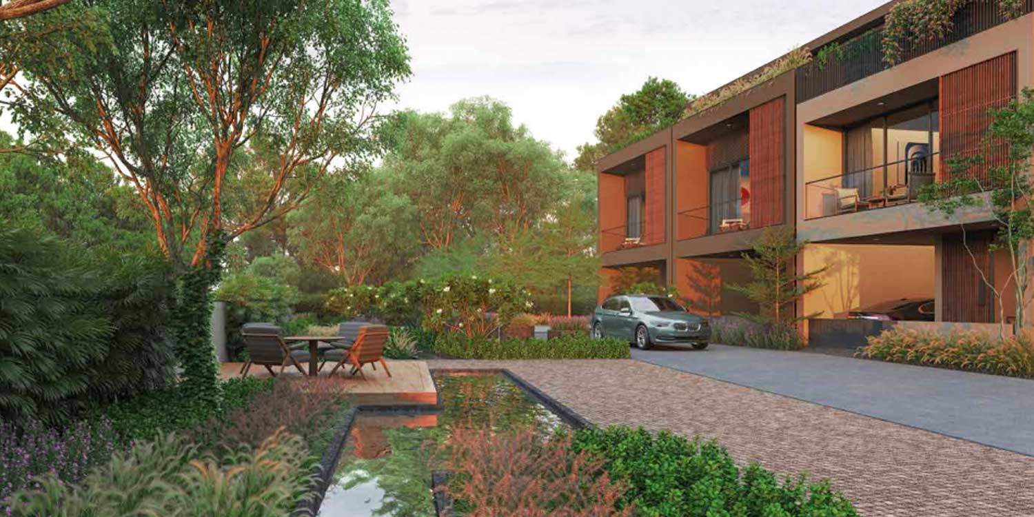 Arvind Forest Trails