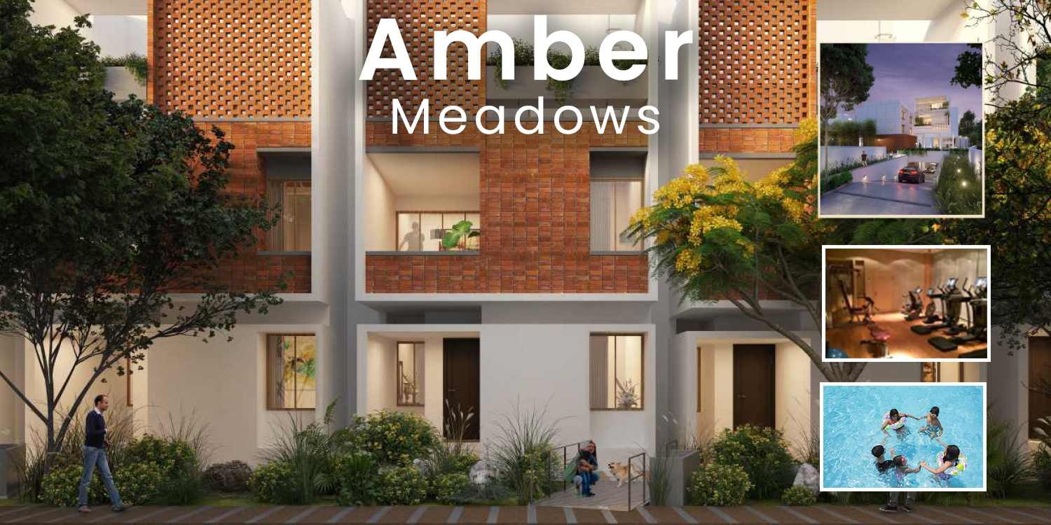 Amber Meadows