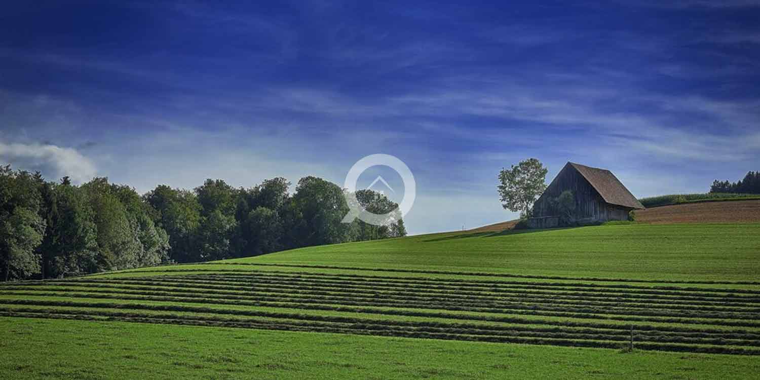 Hill Side Farm