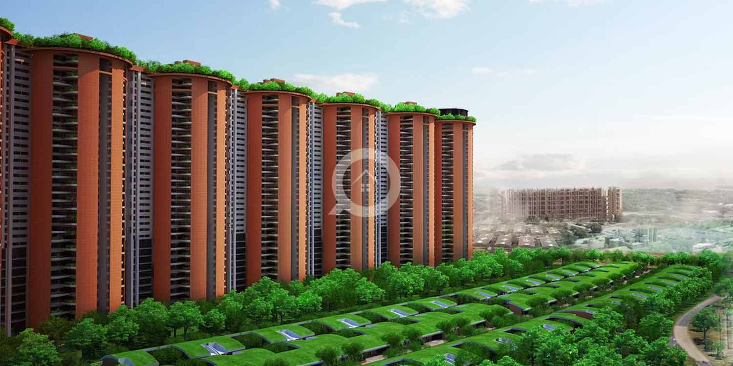 Total Environment Pursuit of a Radical Rhapsody – Bangalore