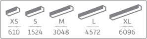 Body sizes / Length (mm)