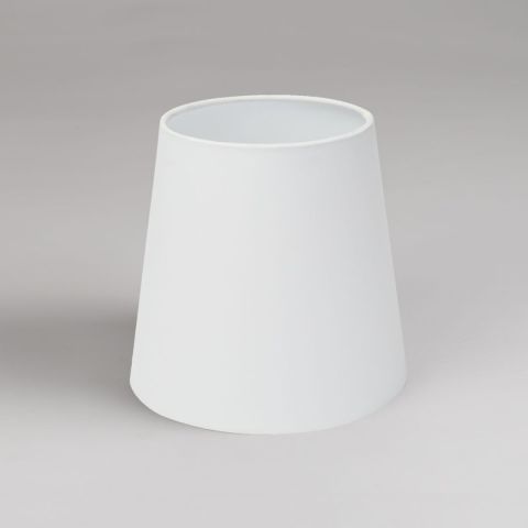 Cone, Coconut