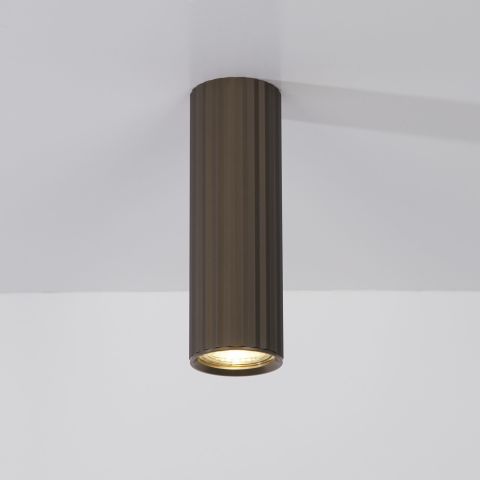 Anna Ceiling,  Bronze