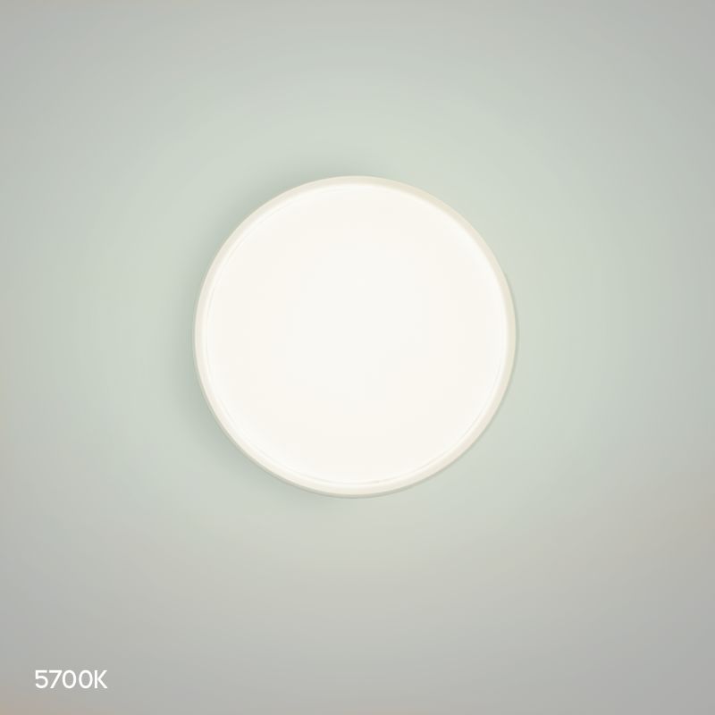 Verve 30, White